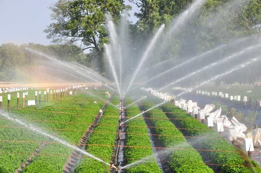  गंगासागर ड्रिप इरिगेशन सिस्टम